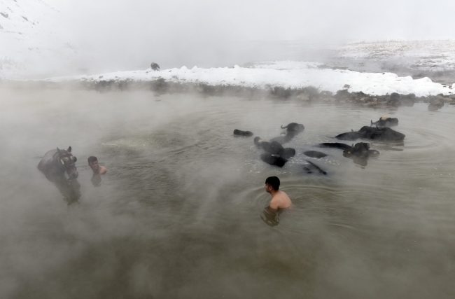Fotoğraf: TRT Haber